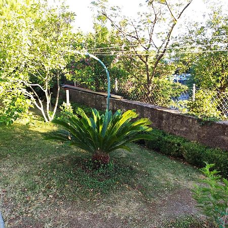 Apartment With Private Garden And The Terrace Ev Station Available Цриквениця Екстер'єр фото