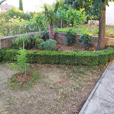 Apartment With Private Garden And The Terrace Ev Station Available Цриквениця Екстер'єр фото