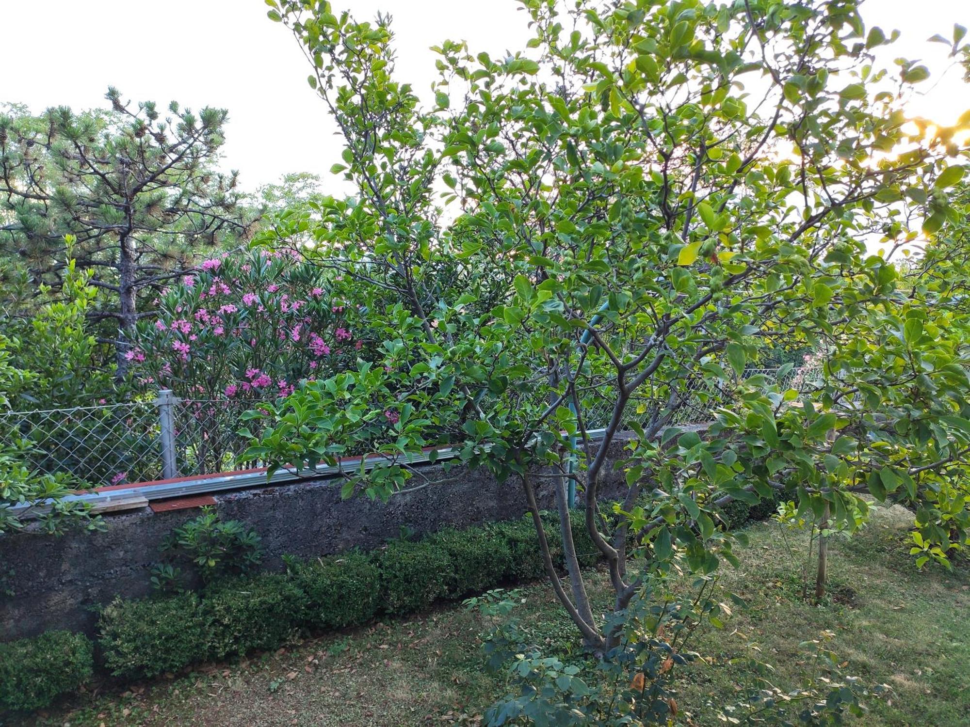 Apartment With Private Garden And The Terrace Ev Station Available Цриквениця Екстер'єр фото