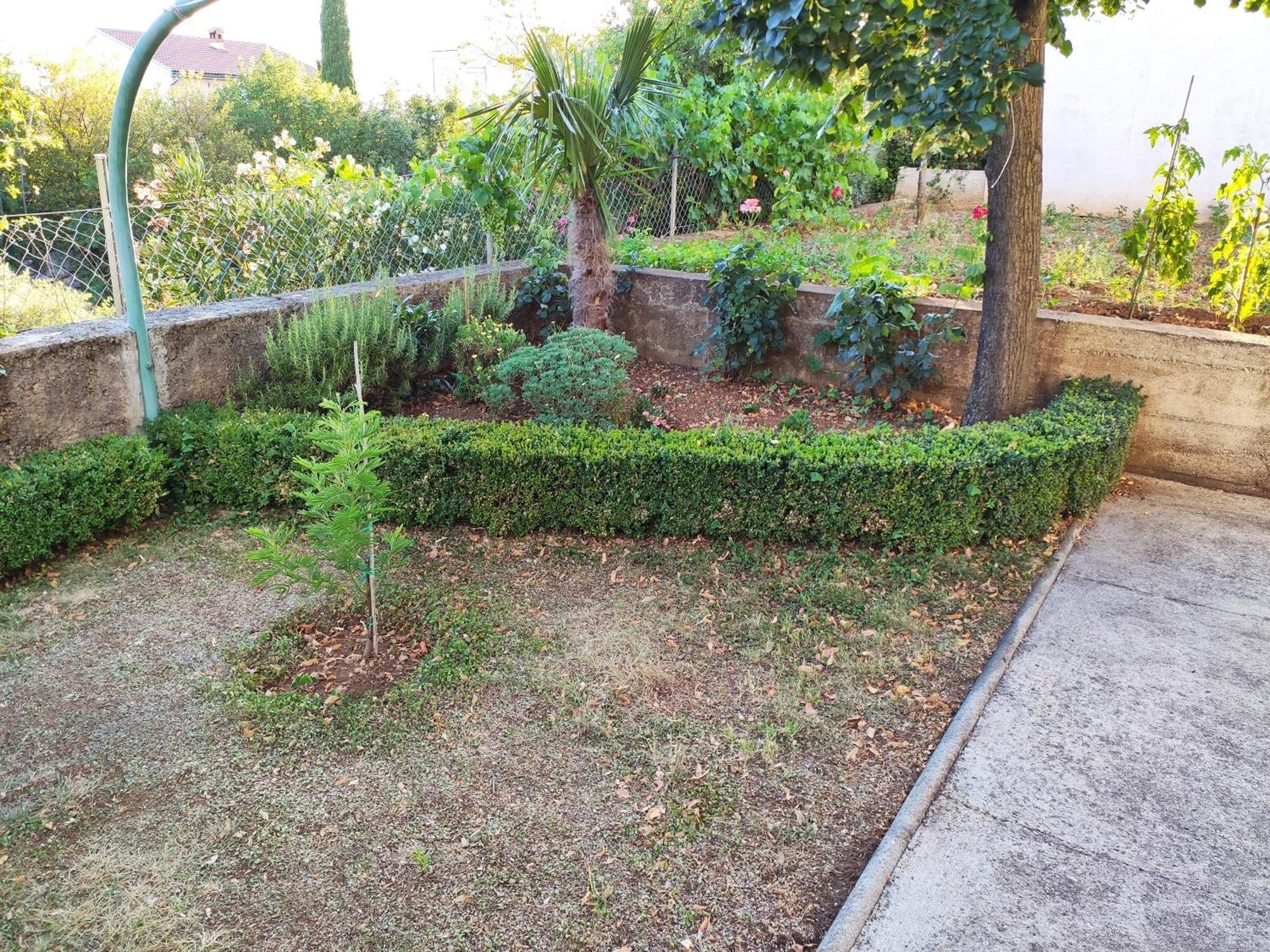 Apartment With Private Garden And The Terrace Ev Station Available Цриквениця Екстер'єр фото